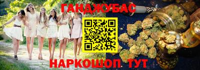 Альфа ПВП Будённовск