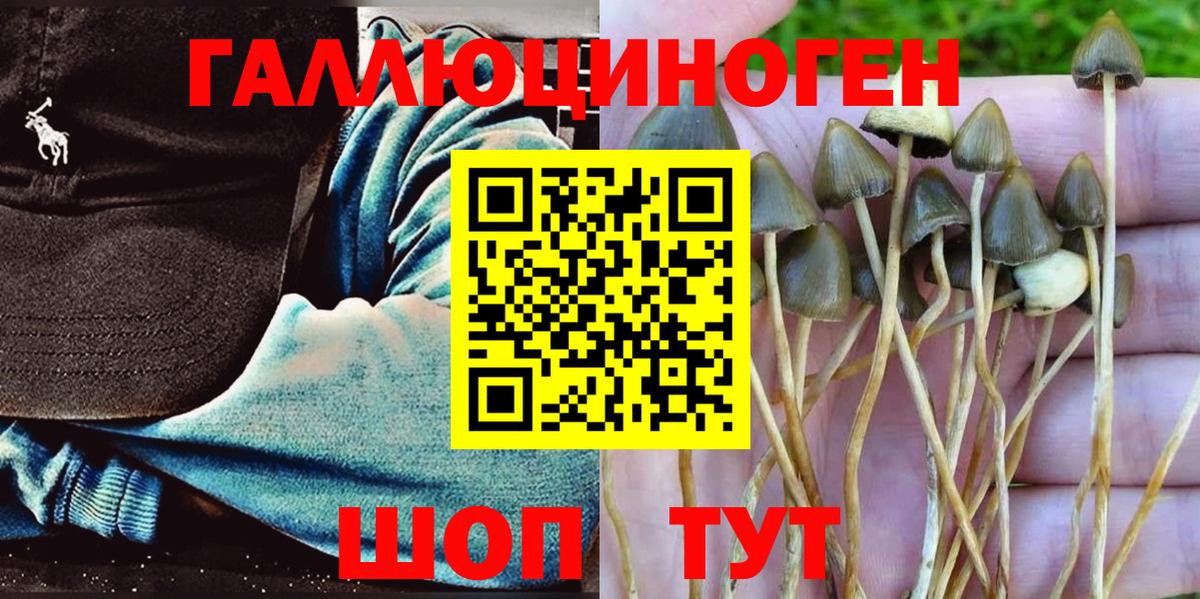 Псилоцибиновые грибы Cubensis Нефтекамск