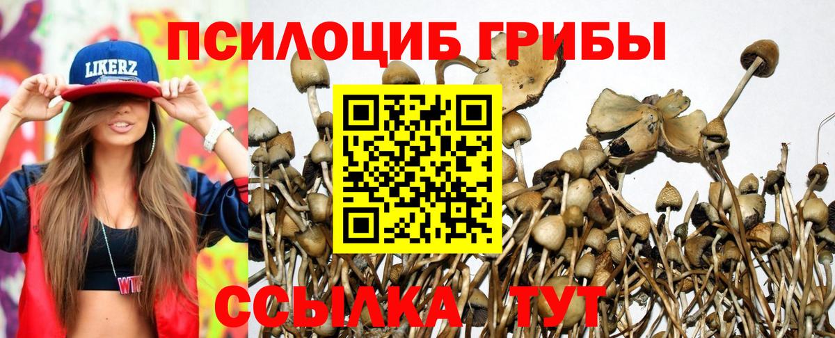 Нефтекамск  Галлюциногенные грибы Cubensis  Галлюциногенные грибы Psilocybe  Вход с VPN 